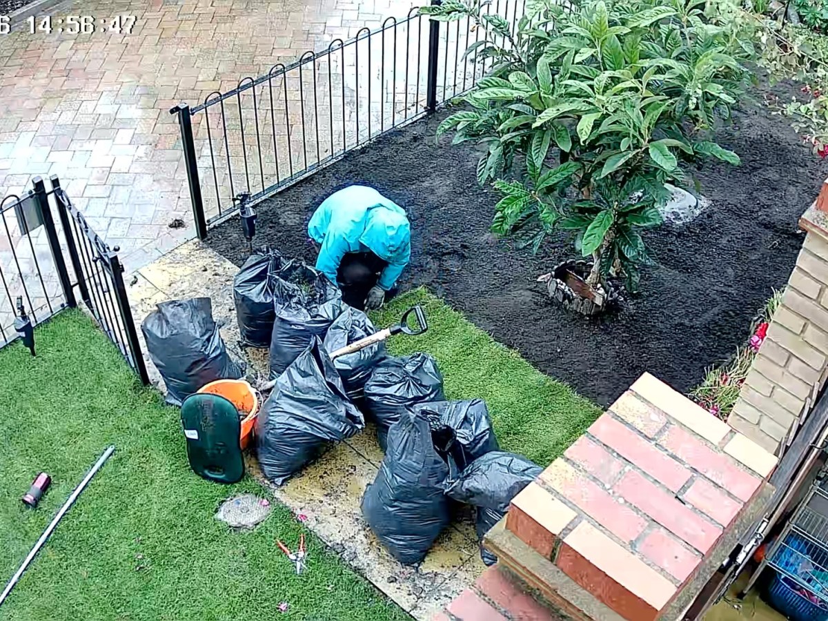 08-06-2026